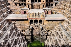 Jaipur: halfdaagse tour naar het Amer Fort, Jal Mahal en Stepwell
