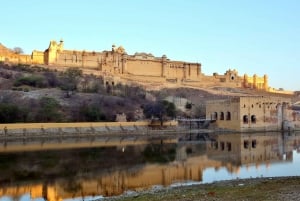 Jaipur: halfdaagse tour naar het Amer Fort, Jal Mahal en Stepwell
