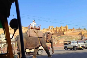 Jaipur Half Day Tour By Tuk Tuk With Local Chaiwala