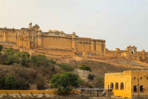 Jaipur halvdagstur til Amer Fort, Jal Mahal og Stepwell