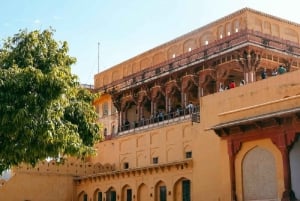 Jaipur: Full Day Private Sightseeing Tour with Masala Chai