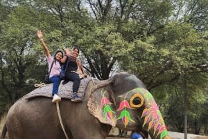 Jaipur: Hathi Gaon olifantenrijden, schilderen, voeren en meer