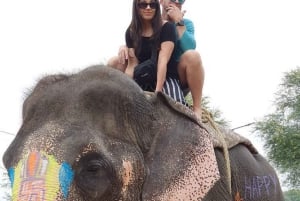 Jaipur: Hathi Gaon olifantenrijden, schilderen, voeren en meer