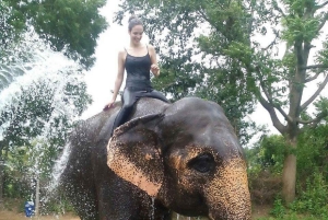 Jaipur: Hathigao – elefanttur i landsbyen, fodring og fotos