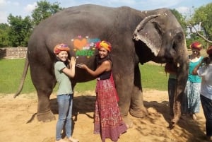 Jaipur: Hathigao – elefanttur i landsbyen, fodring og fotos