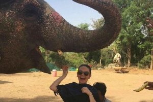 Jaipur: Hathigao – elefanttur i landsbyen, fodring og fotos