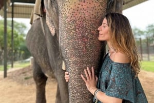 Jaipur: Hathigao – elefanttur i landsbyen, fodring og fotos