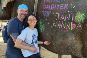 Jaipur: Hathigao – elefanttur i landsbyen, fodring og fotos