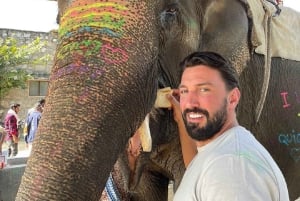 Jaipur: Hathigao – elefanttur i landsbyen, fodring og fotos