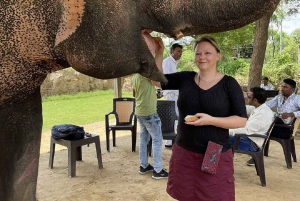 Jaipur: Hathigao – elefanttur i landsbyen, fodring og fotos