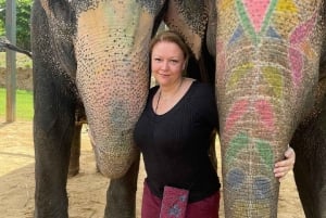 Jaipur: Hathigao – elefanttur i landsbyen, fodring og fotos