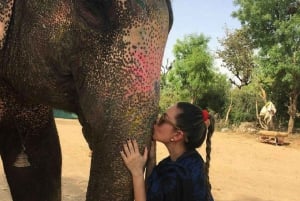 Jaipur: Hathigao – elefanttur i landsbyen, fodring og fotos