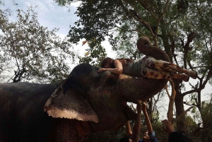 Jaipur: Hathigao – elefanttur i landsbyen, fodring og fotos