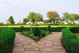 Jaipur: Dagtrip Spookachtig Bhangarh Fort en Abhaneri Stepwell