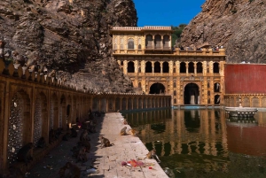 Jaipur: Heritage Forts & Palaces Tour with Monkey Temple