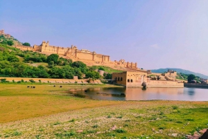 TOUR POR EL PATRIMONIO DE JAIPUR CON GUÍA LOCAL