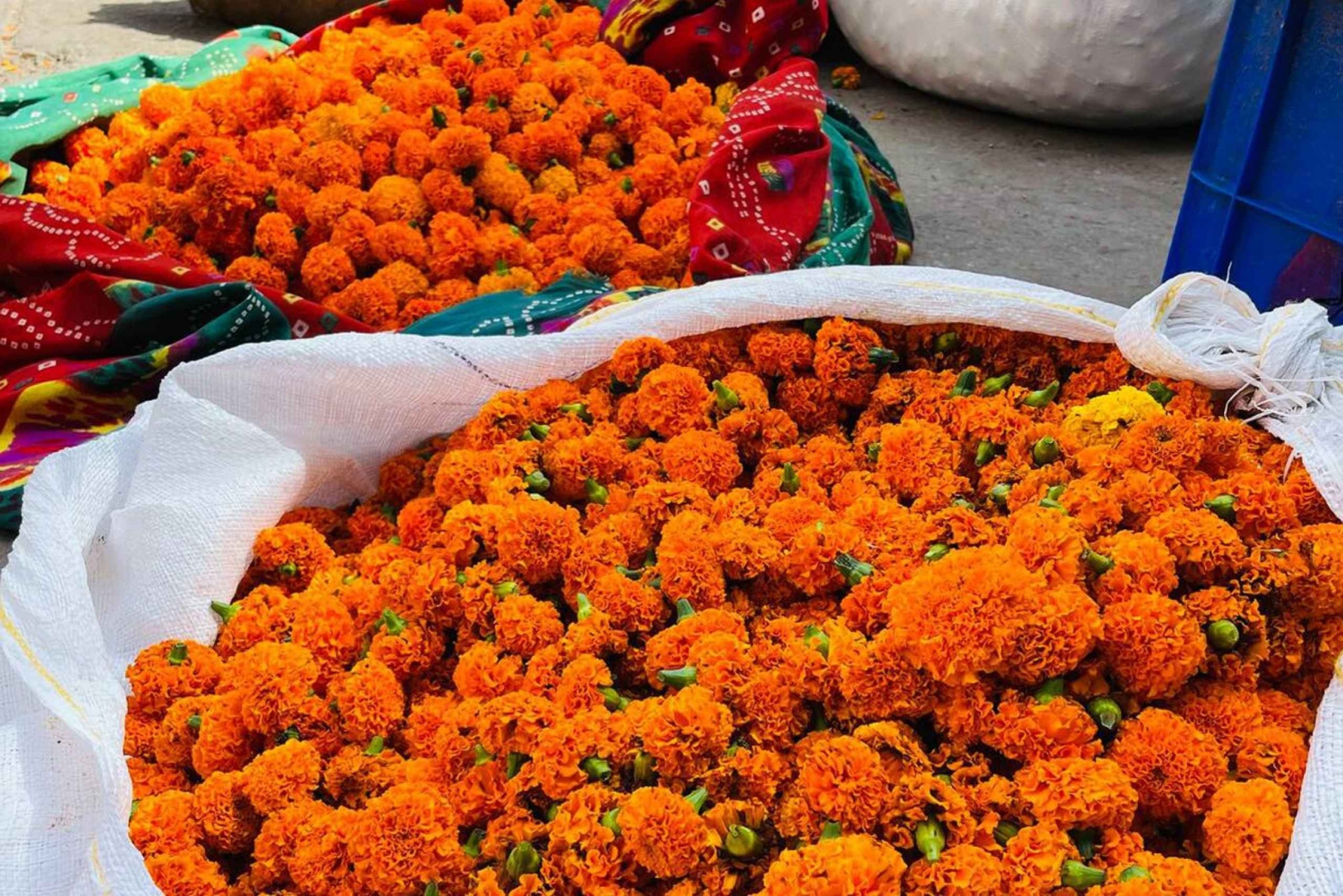 Visite à pied du patrimoine de Jaipur et visite culinaire locale Jaipur