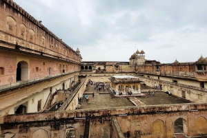 Jaipur: Yksityinen koko päivän kestävä Pink City -kierros apinatemppelillä