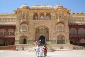 Jaipur: Yksityinen koko päivän kestävä Pink City -kierros apinatemppelillä