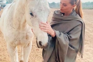 Jaipur Horse Riding Adventure