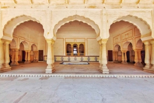 Jaipur: Jaigarh Fort Guided Tour with Entry Ticket