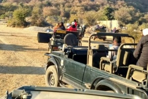 Jaipur: Jhalana & Amagarh Safari Park Private Jeep Safari