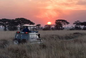 Jaipur: Jhalana & Amagarh Safari Park Private Jeep Safari