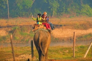 Jaipur: Jhalana & Amagarh Safari Park Private Jeep Safari