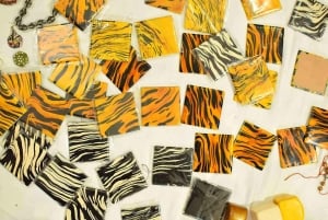 Jaipur: Lac arbeidserfaring i Rajasthan