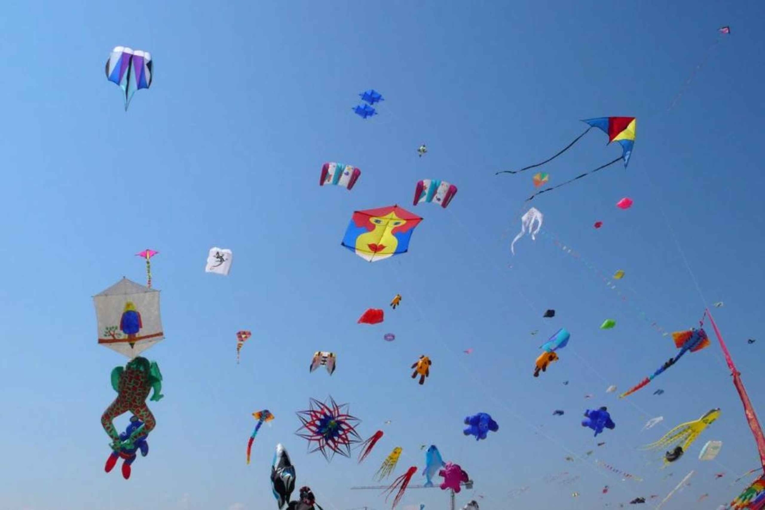 Джайпур: Фестиваль воздушных змеев Макар Санкранти с местной семьей