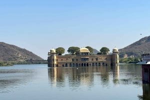 Jaipur: Monkey Temple and Sun Temple Guided Tour