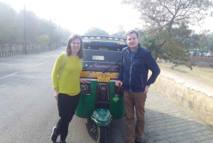 Jaipur: Morgen- und Abendtour mit Sonnenuntergang am Affentempel