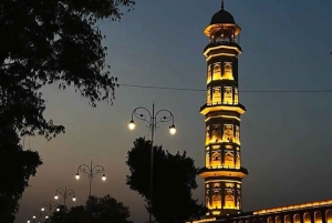 Jaipur: Morgen- und Abendtour mit Sonnenuntergang am Affentempel