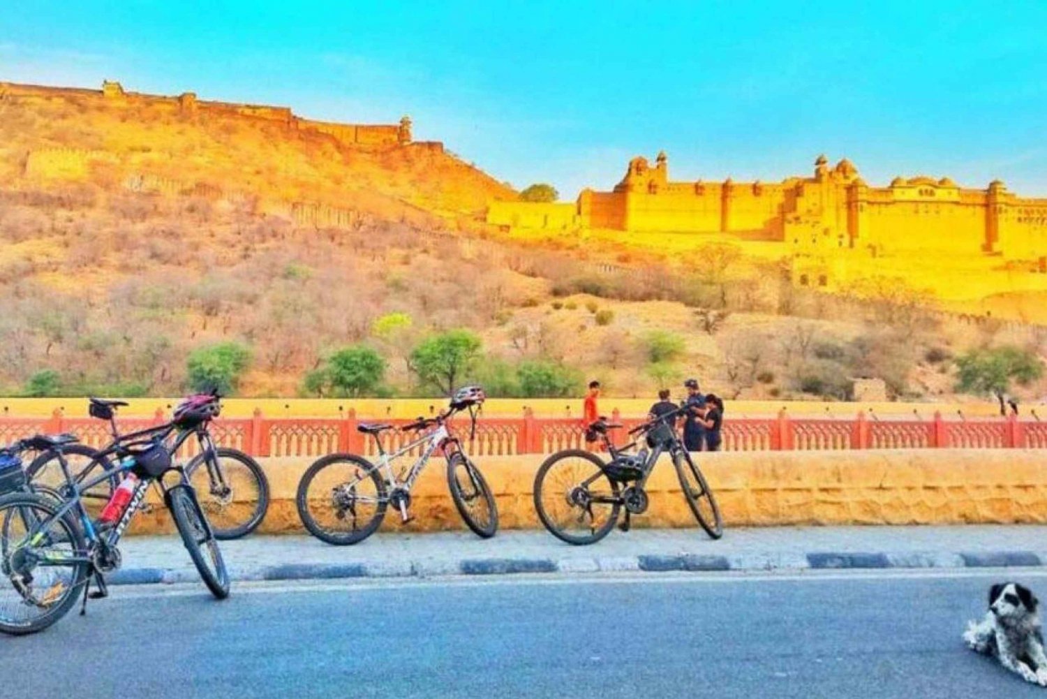 Jaipur: Gatemat og sykkeltur om morgenen