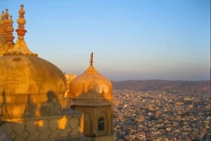 Da Delhi: viaggio di più giorni nel Triangolo d'Oro con safari tra le tigri