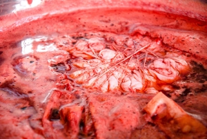 Dżajpur: naturalne farbowanie, druk blokowy, warsztaty tie & dye