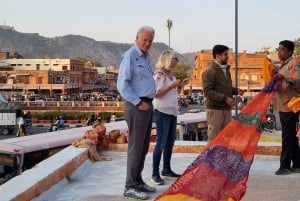 Jaipur: Ingen shopping, guidad dagsutflykt med kulturvandring