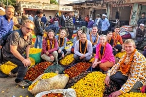 Jaipur : visite guidée d'une jounée sans shopping avec promenade patrimoniale