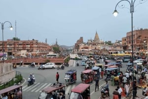 Jaipur : visite guidée d'une jounée sans shopping avec promenade patrimoniale