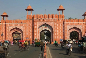 Jaipur : Visite guidée du fort d'Amber, du puits d'escalier et du temple de l'amour aveugle