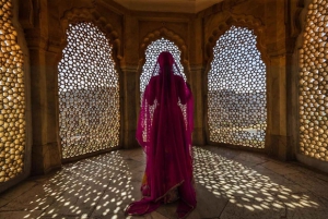 Jaipur : Visite guidée du fort d'Amber, du puits d'escalier et du temple de l'amour aveugle