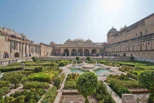 Jaipur : Visite guidée du fort d'Amber, du puits d'escalier et du temple de l'amour aveugle
