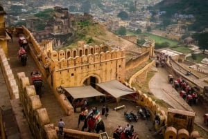 Jaipur : Visite guidée du fort d'Amber, du puits d'escalier et du temple de l'amour aveugle