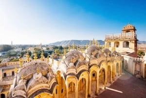 Jaipur : Visite guidée du fort d'Amber, du puits d'escalier et du temple de l'amour aveugle