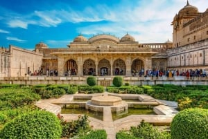 Jaipur : Visite guidée du fort d'Amber, du puits d'escalier et du temple de l'amour aveugle