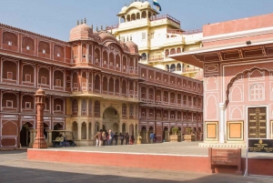 Jaipur : Visite guidée du fort d'Amber, du puits d'escalier et du temple de l'amour aveugle