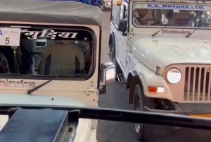 Jaipur: Open Jeep Safari For Group/Private/Couple