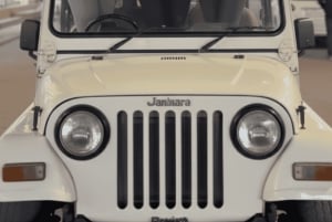 Jaipur: Offene Jeep-Safari bei Nacht für Gruppen & Paare