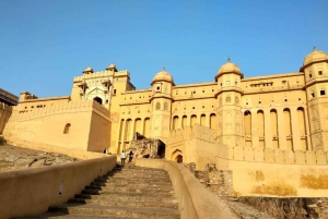 Jaipur: Overnight Trip from Delhi