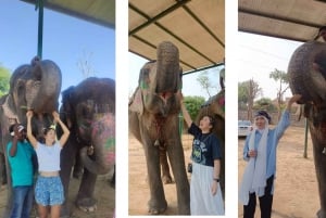 Jaipur Pink City Heritage Tour: Book By Car with Guide